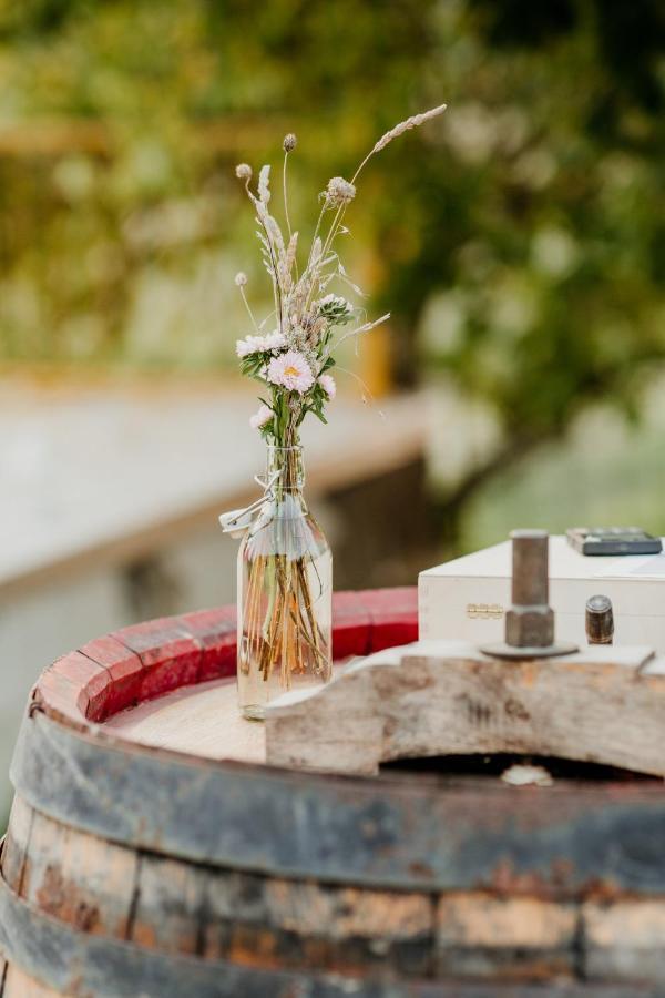 ブーチネ Perelli Wineryヴィラ エクステリア 写真