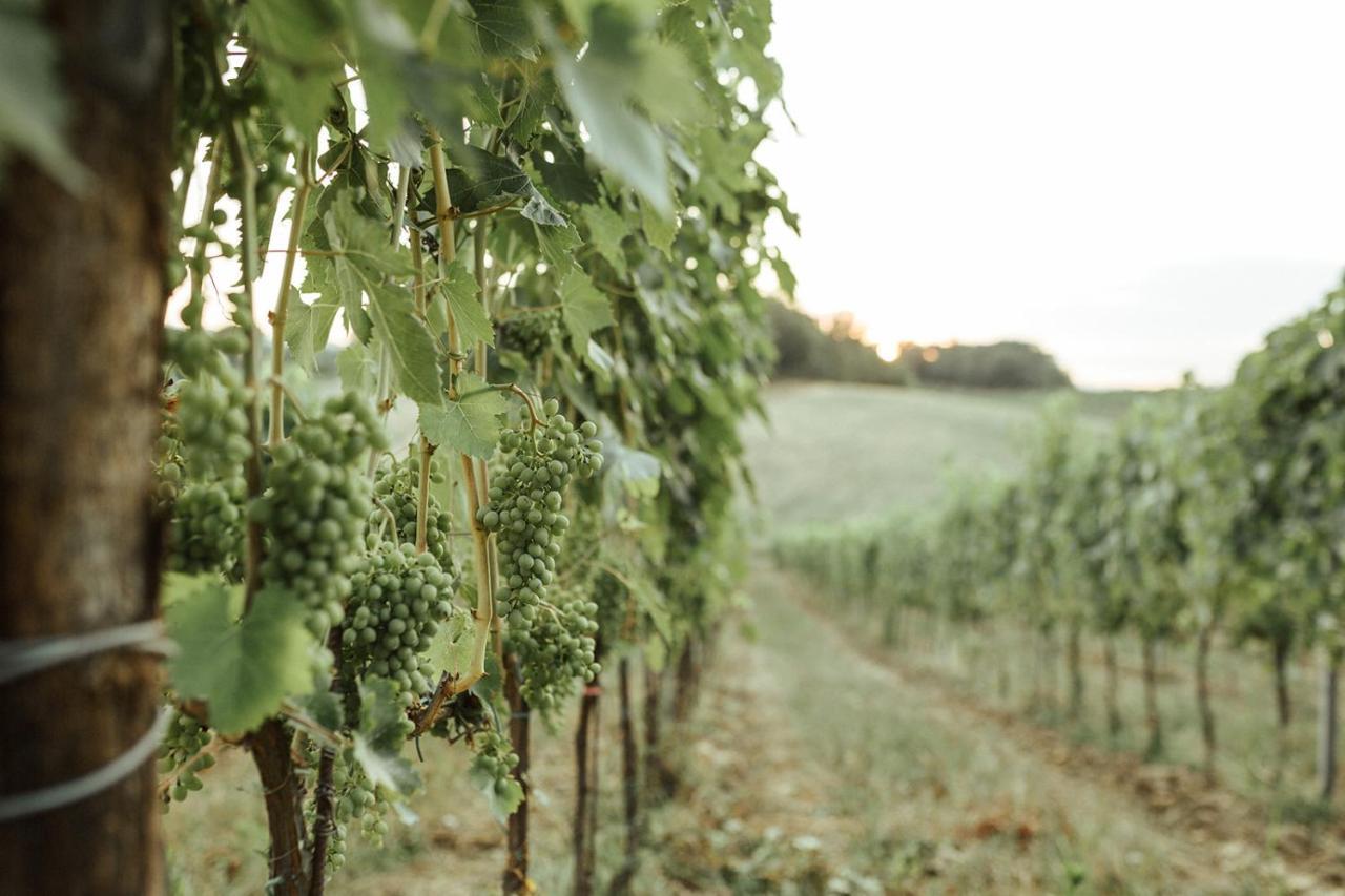 ブーチネ Perelli Wineryヴィラ エクステリア 写真